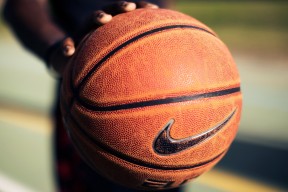 爱游戏入口-莎拉波娃跨界封神，五赛季统治NBA，公牛球迷陷入疯狂！